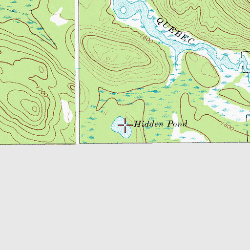 Topographic Map of Hidden Pond, NY