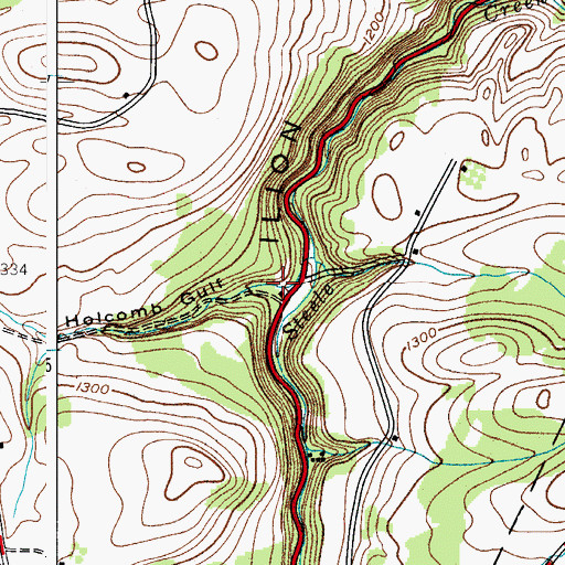Topographic Map of Holcomb Gulf, NY