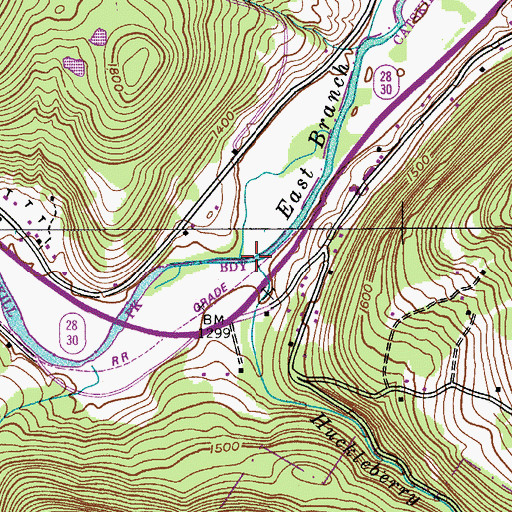 Topographic Map of Huckleberry Brook, NY