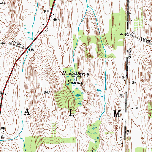 Topographic Map of Huckleberry Swamp, NY