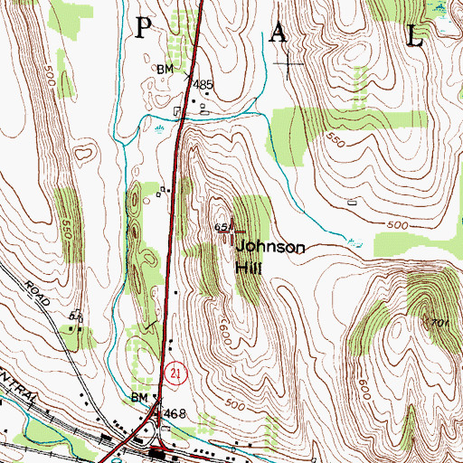 Topographic Map of Johnson Hill, NY