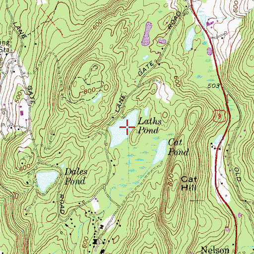 Topographic Map of Laths Pond, NY
