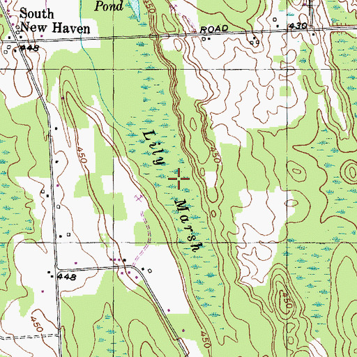 Topographic Map of Lily Marsh, NY