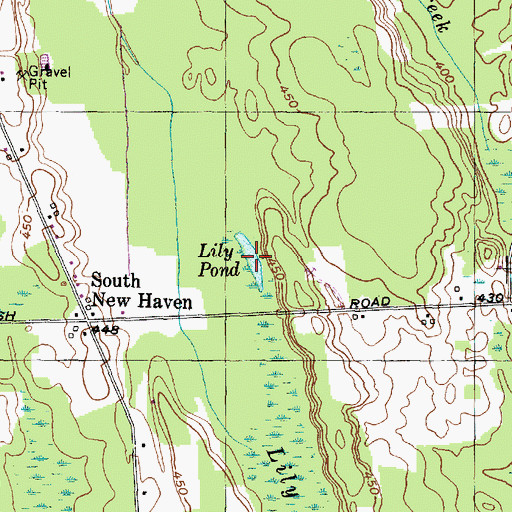 Topographic Map of Lily Pond, NY