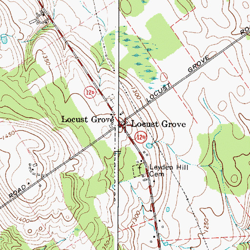Topographic Map of Locust Grove, NY