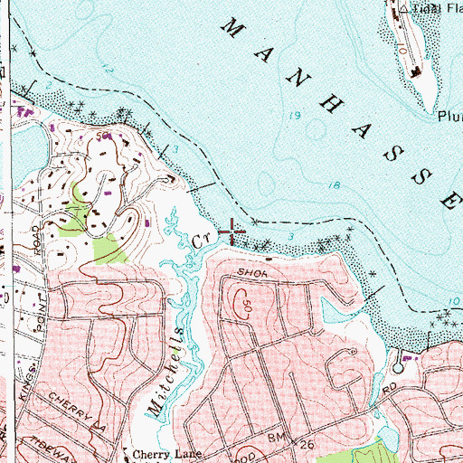 Topographic Map of Mitchells Creek, NY