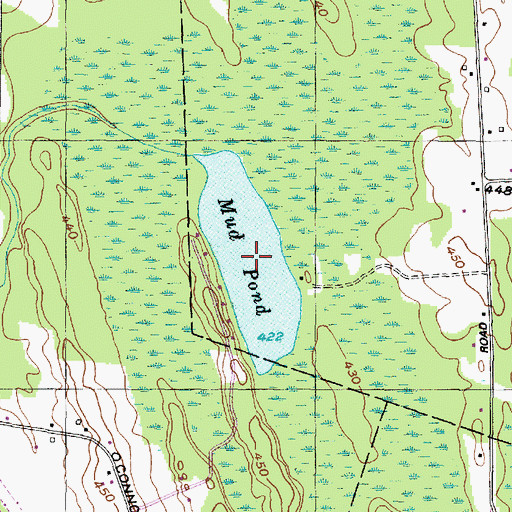 Topographic Map of Mud Pond, NY