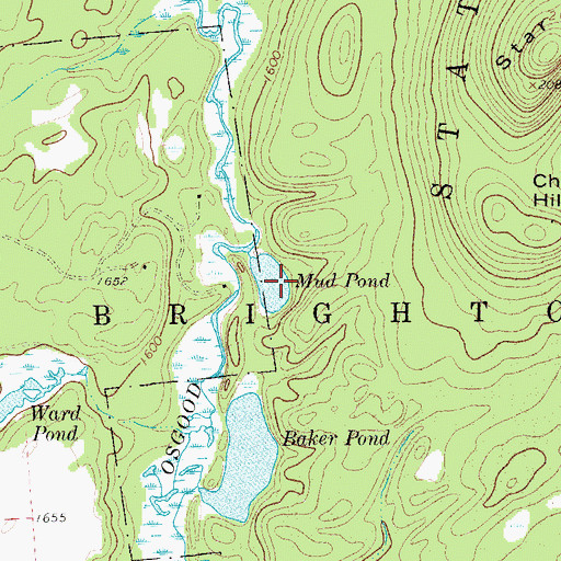 Topographic Map of Mud Pond, NY