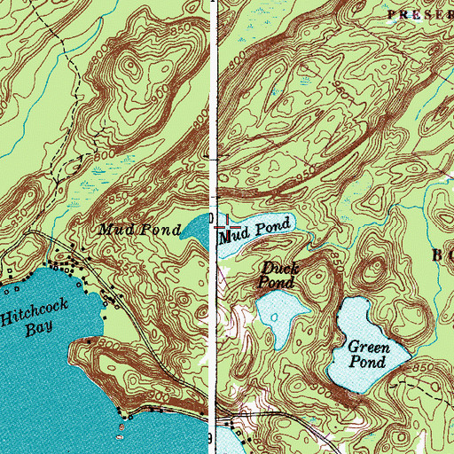 Topographic Map of Mud Pond, NY