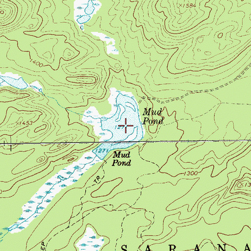 Topographic Map of Mud Pond, NY