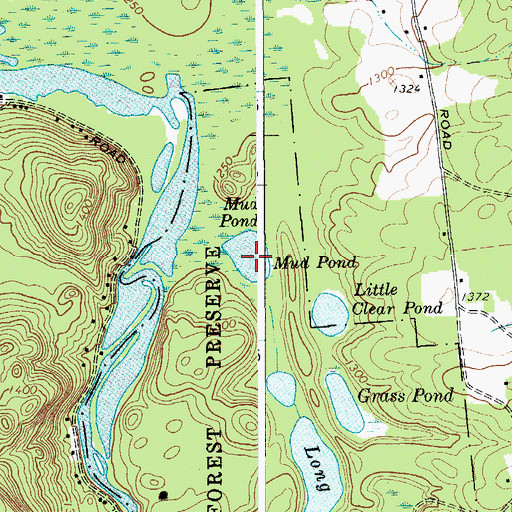 Topographic Map of Mud Pond, NY
