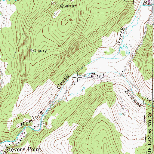 Topographic Map of North Branch Hemlock Creek, NY
