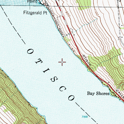 Topographic Map of Otisco Lake, NY