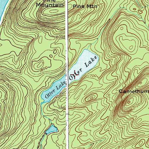 Topographic Map of Otter Lake, NY