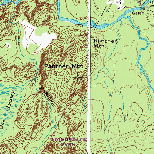 Topographic Map of Panther Mountain, NY