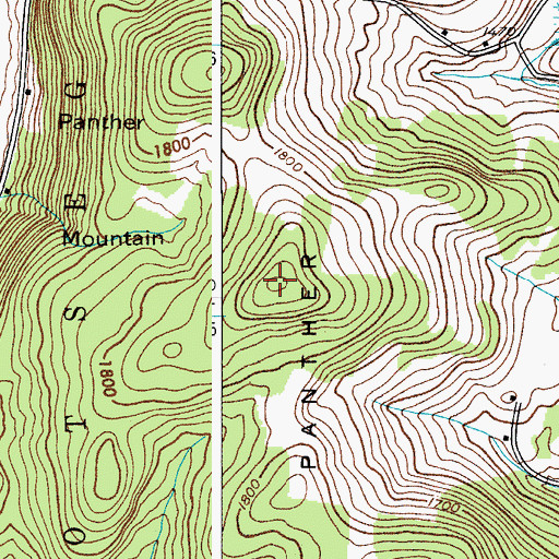Topographic Map of Panther Mountain, NY