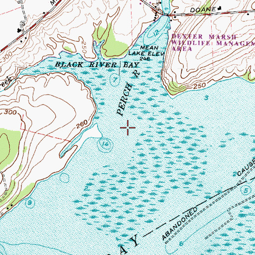 Topographic Map of Perch River, NY