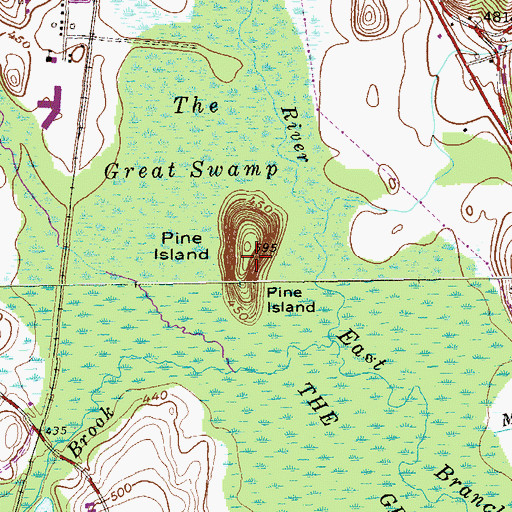 Topographic Map of Pine Island, NY