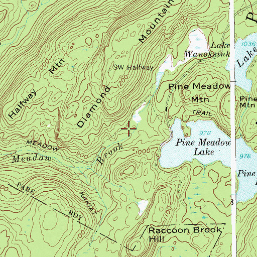 Topographic Map of Pine Meadow Trail, NY