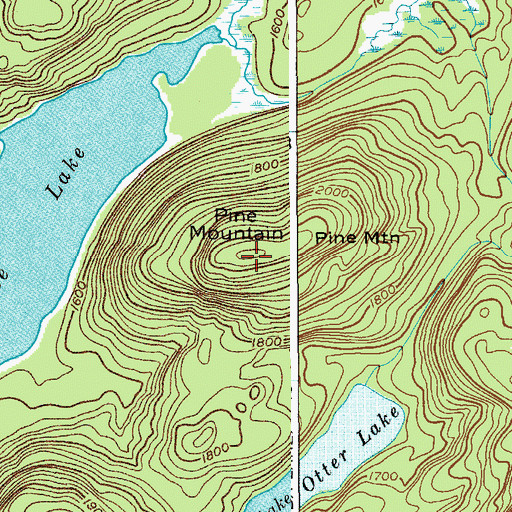 Topographic Map of Pine Mountain, NY