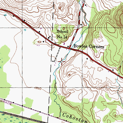 Topographic Map of Punky Hollow, NY