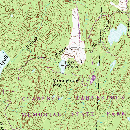 Topographic Map of Reeves Pond, NY