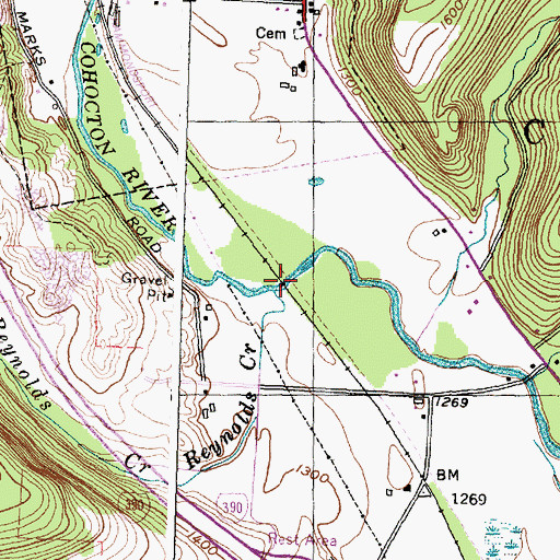 Topographic Map of Reynolds Creek, NY