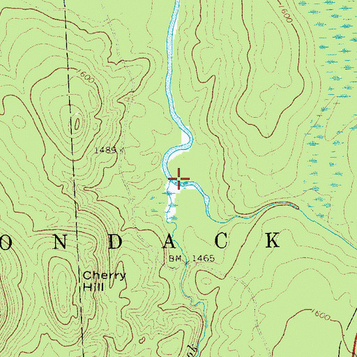 Topographic Map of Rice Brook, NY