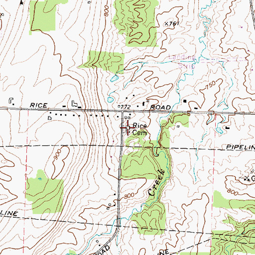 Topographic Map of Rice Cemetery, NY