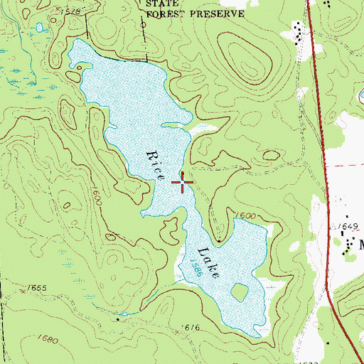 Topographic Map of Rice Lake, NY