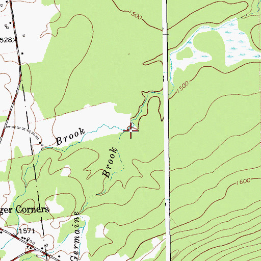 Topographic Map of Saint Germaine Brook, NY