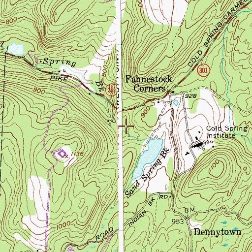 Topographic Map of Sand Spring Brook, NY