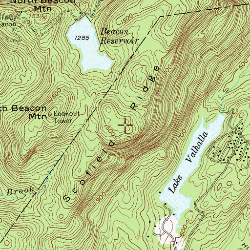 Topographic Map of Scofield Ridge, NY