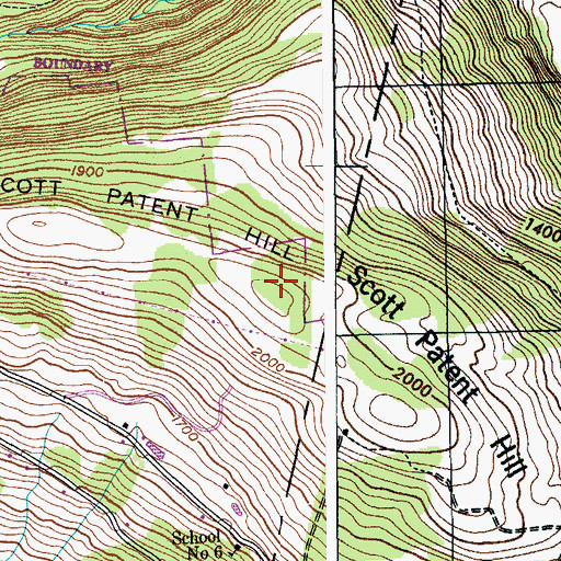 Topographic Map of Scott Patent Hill, NY