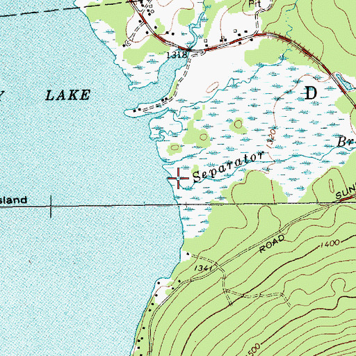 Topographic Map of Separator Brook, NY