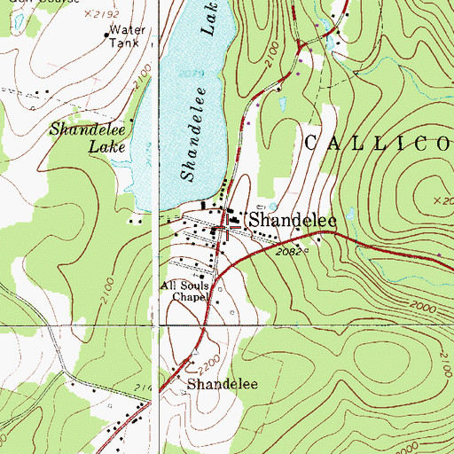 Topographic Map of Shandelee, NY