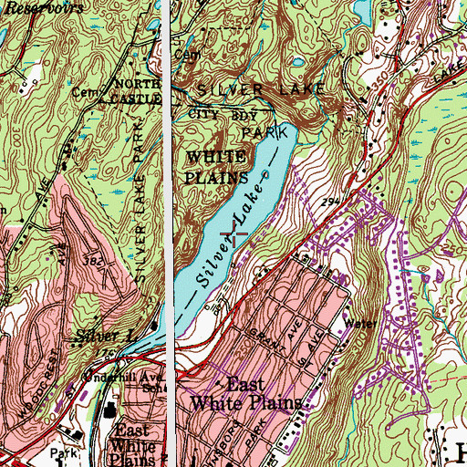 Topographic Map of Silver Lake, NY