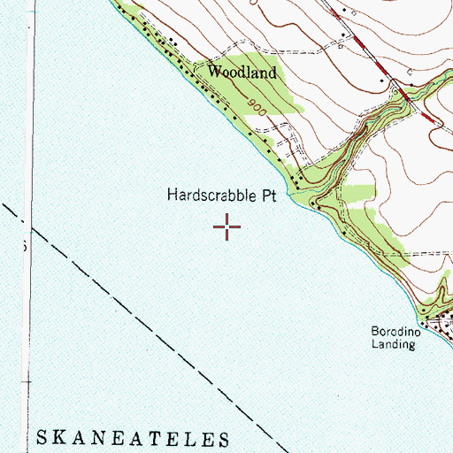 Topographic Map of Skaneateles Lake, NY