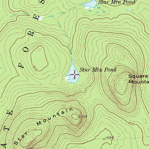 Topographic Map of Star Mountain Pond, NY