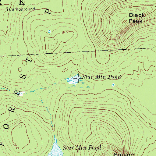 Topographic Map of Star Mountain Pond, NY