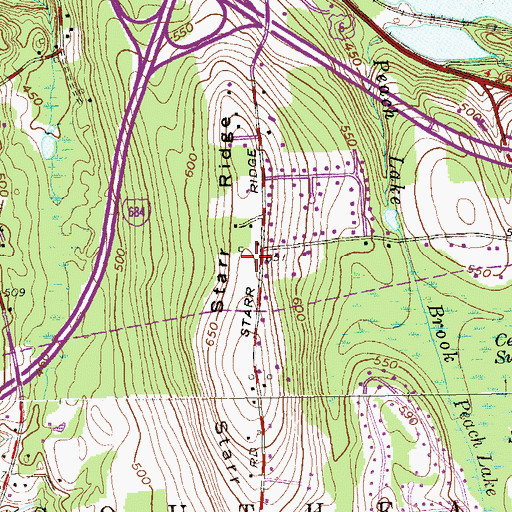 Topographic Map of Starr Ridge, NY