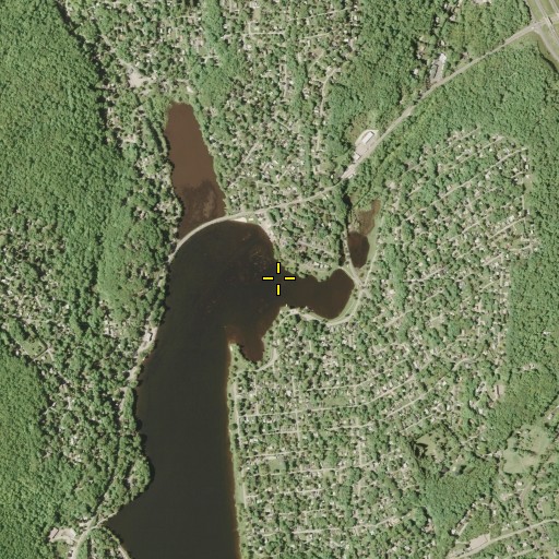 Aerial/Satellite Image of Stump Pond Stream, NY