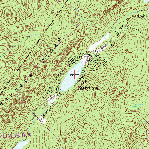Topographic Map of Lake Surprise, NY