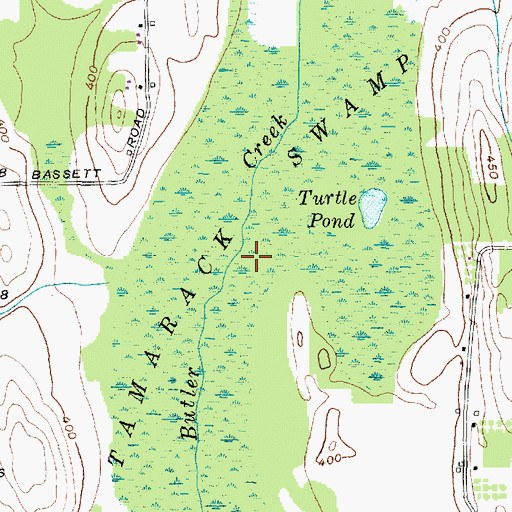 Topographic Map of Tamarack Swamp, NY