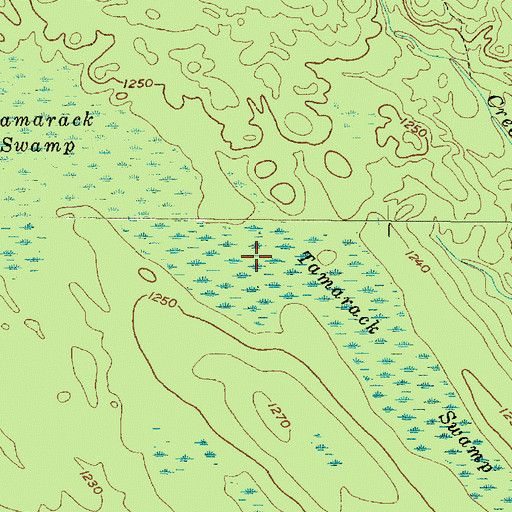 Topographic Map of Tamarack Swamp, NY
