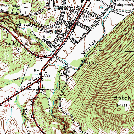 Topographic Map of Tannery Creek, NY