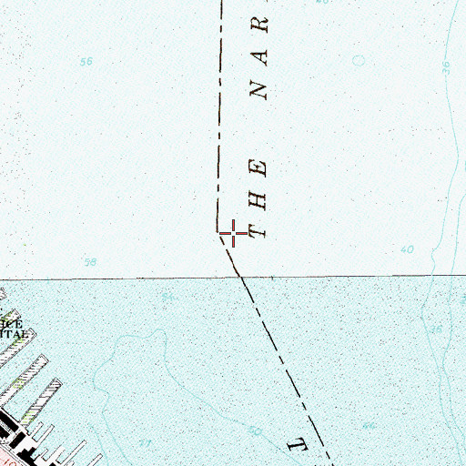 Topographic Map of The Narrows, NY