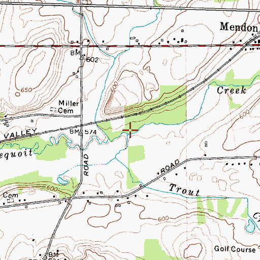 Topographic Map of Trout Creek, NY