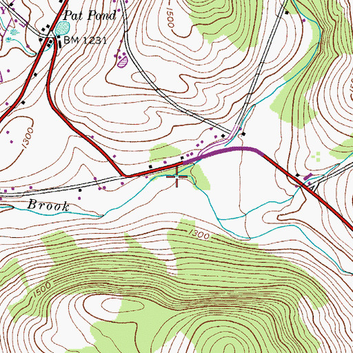 Topographic Map of West Branch Handsome Brook, NY