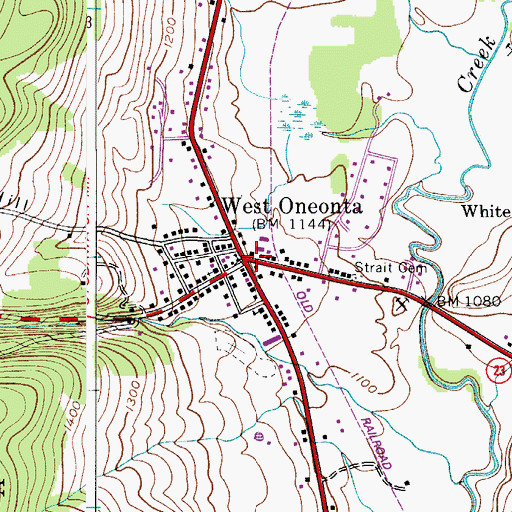Topographic Map of West Oneonta, NY